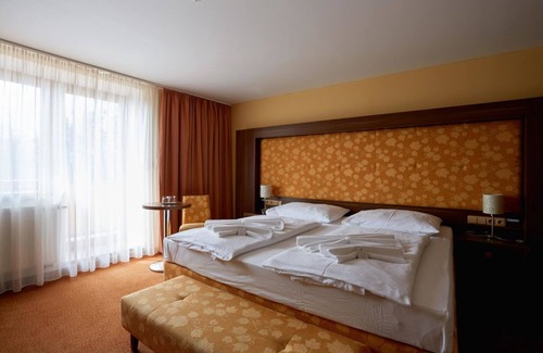 Roznov Pod Radhostem Hotel | Discover Hotel Energetic: 4-Star Stay with Spa & Pool