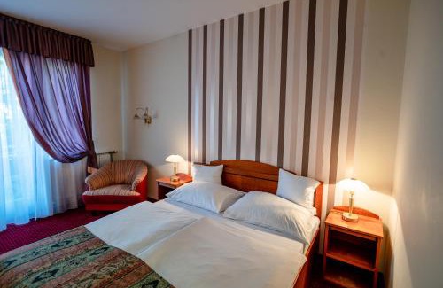 Heviz Hotel | Hotel Erzsébet