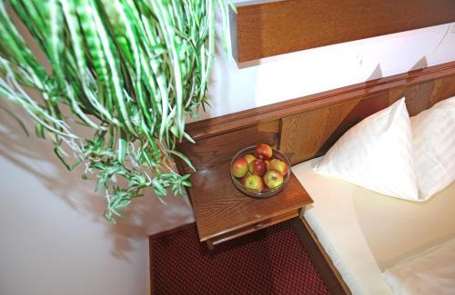 Sankt Georgen am Langsee Hotel | Hotel Fasching: Oceanfront Oasis with Pool and Pet-Friendly Perks