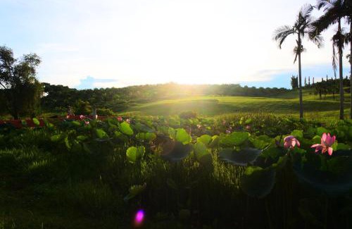 Pulau Tawar Resort | Family-Friendly Retreat at Felda Residence Tekam