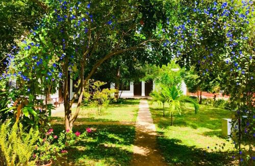 Anuradhapura Hotel | Pet-Friendly Hotel First Kingdom in Anuradhapura - 9/10 Rating