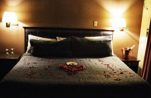 Irapuato Hotel | Pet-Friendly Hotel Flamingo Kristal with Breakfast Included
