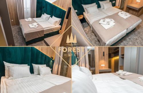 Pale Hotel | Discover Hotel Forest: A 4-Star Family-Friendly Retreat