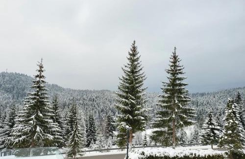 Pale Hotel | Discover Hotel Forest: A 4-Star Family-Friendly Retreat