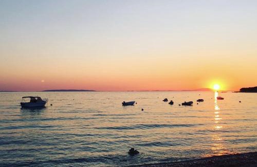 Monte Hotel | Pet-Friendly Hotel Francesco: Rated 8.5/10 by Guests