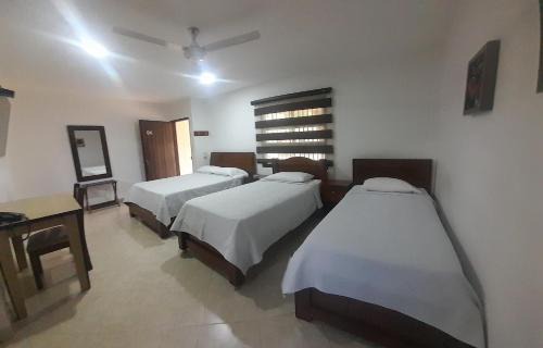 Caucasia Hotel | Pet-Friendly Getaway at Hotel Frutas del Lago Awaits
