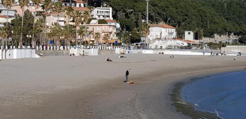Marina di Andora Hotel | Discover Hotel Garden: Pet-Friendly with Ocean Views