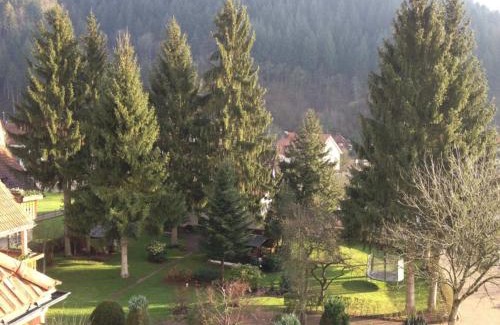 Oberwolfach House | Discover Hotel Garni Café Schacher with Spa & Breakfast