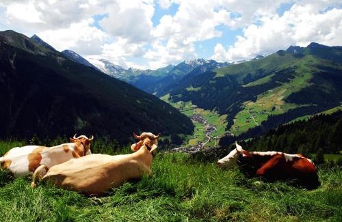 Vorderlanersbach Hotel | Elegant Hotel Garni Forelle: 4-Star Stay with Hot Tub