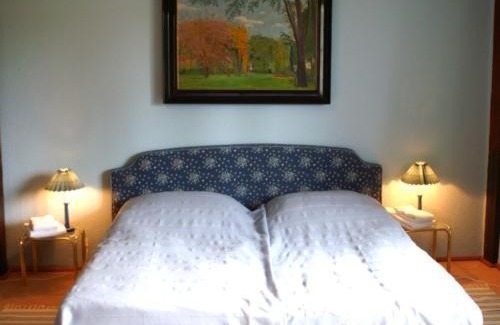 Oberg Hotel | Comfort at Hotel Garni Graf von Oberg - Pet Friendly Stay