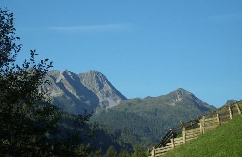 Gerlos Hotel | Discover Hotel Garni Hanslerhof: Farm Stay Adventure Awaits