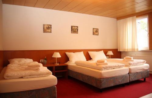 Goslar Hotel | Explore Hotel Garni Kaiserpfalz: Pet-Friendly Retreat