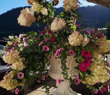 Reith bei Kitzbuehel Hotel | Oceanfront Bliss at Hotel Garni Zimmermann - Rated 9.3/10