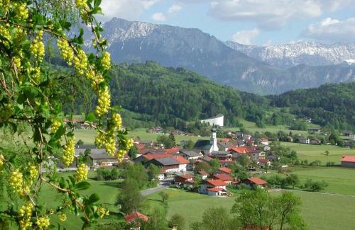 Erl Hotel | Pet-Friendly Retreat at Hotel & Gasthaus Dresch, Rated 9.1