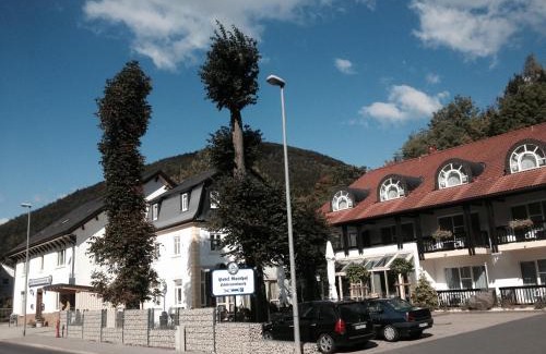 Huttensteinach Hotel | Pet-Friendly Hotel-Gasthof Hüttensteinach with Breakfast