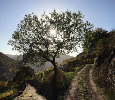 Mainz-Bingen Hotel | Cozy Getaway at Hotel Gasthof Schuster with Breakfast