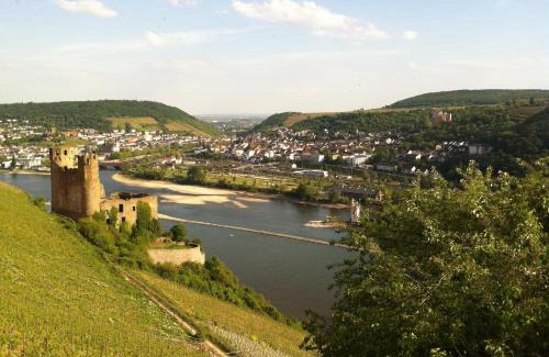 Mainz-Bingen Hotel | Cozy Getaway at Hotel Gasthof Schuster with Breakfast