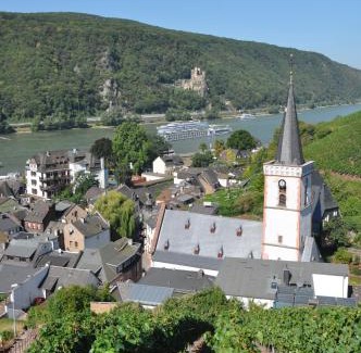 Mainz-Bingen Hotel | Cozy Getaway at Hotel Gasthof Schuster with Breakfast