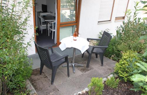 Kernen Hotel | Discover Hotel Gasthof Traube: Pet-Friendly & Family Fun