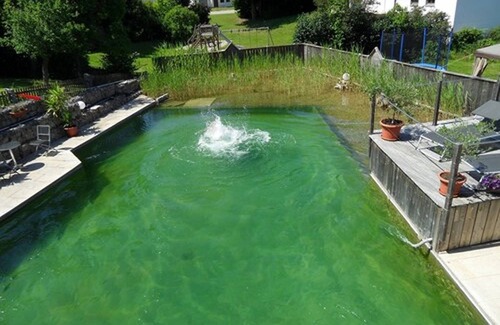 Beilngries Hotel | Guest Favorite: Hotel Gasthof Zum Hirschen with Pool & Breakfast