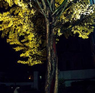 Hodmezovasarhely Hotel | Welcoming Hotel Ginkgo: Top-Rated Stay with Hot Tub and More