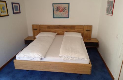 Goeschenen House | Discover Hotel Gotthard: Pet-Friendly with Top Amenities