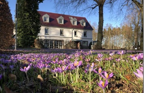 Dorp Hotel | Top-Rated Hotel Gutshof Wellenbad with Family Amenities