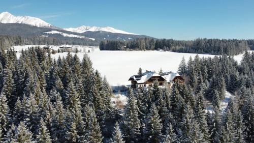 Mariapfarr Hotel | Relaxing Retreat at Hotel Häuserl im Wald with Ocean Views