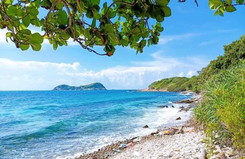 Con Son House | Discover Hotel Hải Trường: Pet-Friendly with Ocean View