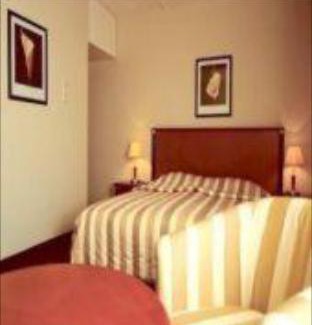 Stationsplein Hotel | Discover Hotel Haarhuis: A 5-Star Pet-Friendly Retreat