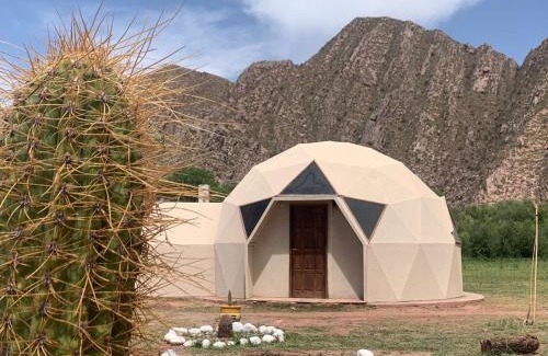 La Puntilla Hotel | Pet-Friendly Retreat at Hotel Hacienda Casa Blanca