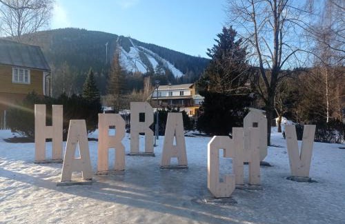 Harrachov Hotel | Pet-Friendly Retreat at Hotel Harrachov Inn for Families