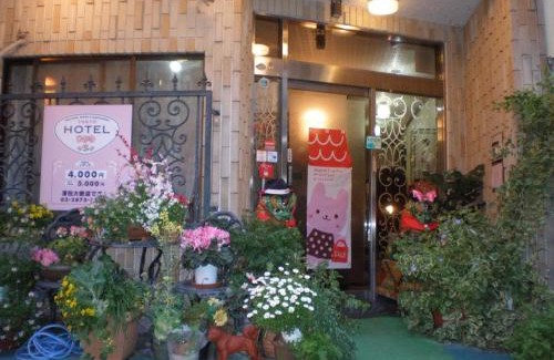 Taito Hotel | Budget-Friendly Stay at Hotel Hikari Awaits You