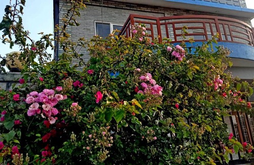 Pokhara Bed & Breakfast | Cozy Hotel Himalayan Home: Family-Friendly Getaway in Pokhara