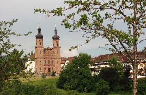 St. Peter im Schwarzwald Hotel | Pet-Friendly Hotel Hirschen with Spa and Hot Tub Amenities