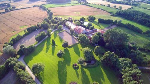 Gross Wittensee Hotel | Pet-Friendly Hotel Hof Kirchhorst with Top Amenities