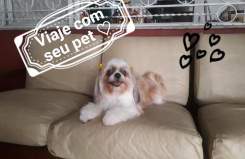 Taubate Hotel | Discover Hotel Ideal Taubaté: Pet and Child Friendly Stay