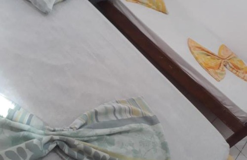 Taubate Hotel | Discover Hotel Ideal Taubaté: Pet and Child Friendly Stay