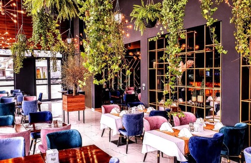 Bosnia Hotel | Discover Hotel IN: 4-Star Stay with Family-Friendly Amenities