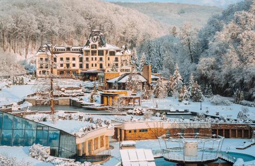 Nyzhnje Solotvyno Hotel | Discover Hotel Irys: Family-Friendly with Pool & Hot Tub