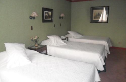 Punta Arenas Hotel | Family-Friendly Hotel Isla Rey Jorge with Kitchen Access