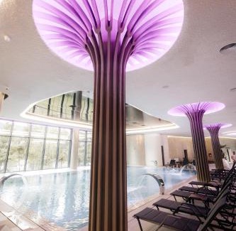 Moisei Hotel | Hotel Ivascu: Guest Rated 9/10 with Family-Friendly Amenities