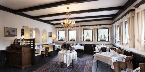 Gunterstal Hotel | Discover Hotel Kühler Krug: Pet-Friendly & Family-Oriented