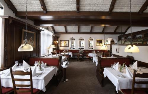 Gunterstal Hotel | Discover Hotel Kühler Krug: Pet-Friendly & Family-Oriented