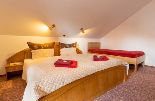 Zelezna Ruda Hotel | Pet-Friendly Retreat at Hotel Karl with Top-Rated Amenities