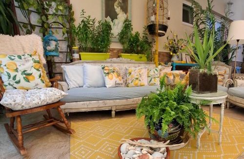 Skiathos Hotel | Pet-Friendly Hotel Kastro: Guest Rated at 9.5/10