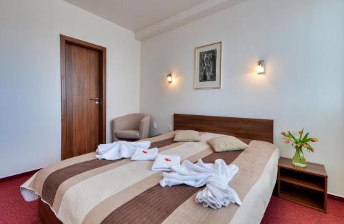 Liptovsky Mikulas Hotel | Discover Hotel Klar: Pet-Friendly Stay with Pool Access