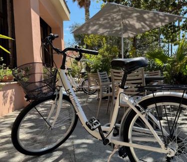 Imperia Hotel | Cozy Hotel Kristina: Pet-Friendly with Private Beach Access