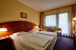 Sopron Hotel | Pet-Friendly Hotel Lövér Sopron with Ocean View & Spa