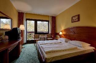 Sopron Hotel | Pet-Friendly Hotel Lövér Sopron with Ocean View & Spa